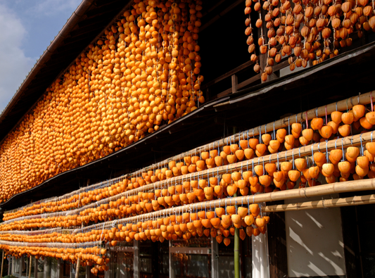 Hoshigaki: The Sweet Sun-Dried Persimmon of Winter