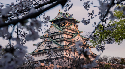 Intera Giornata a Osaka con Guida (8 ore)