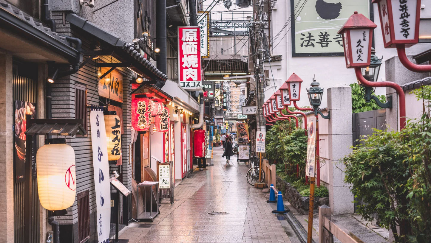 Intera Giornata a Osaka con Guida (8 ore)