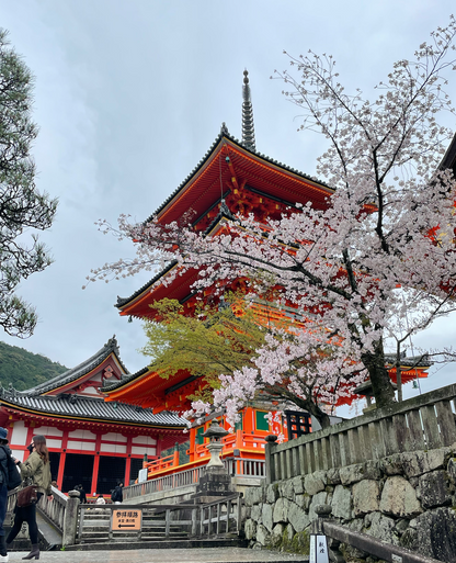 Kyoto Full Day (8 hours Tour)