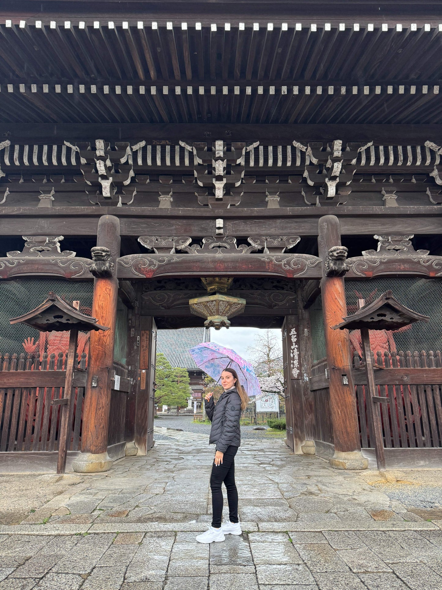 Kyoto Half Day (4 hours Tour)