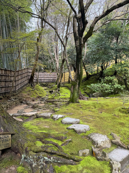 Kyoto Full Day (8 hours Tour)