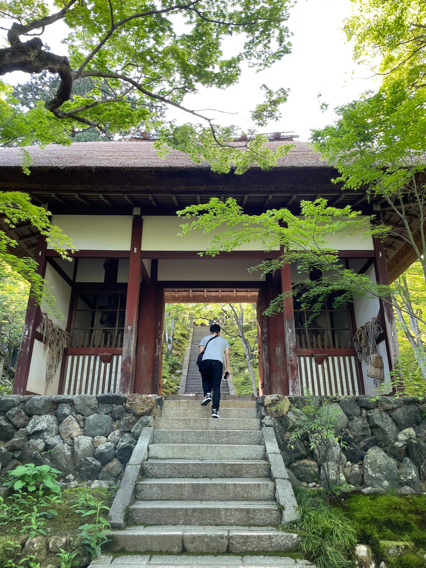 Kyoto Full Day (8 hours Tour)