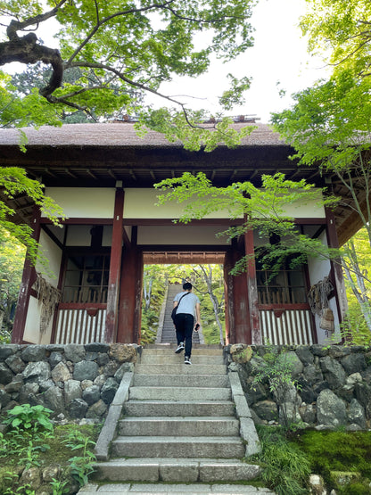 Kyoto Half Day (4 hours Tour)