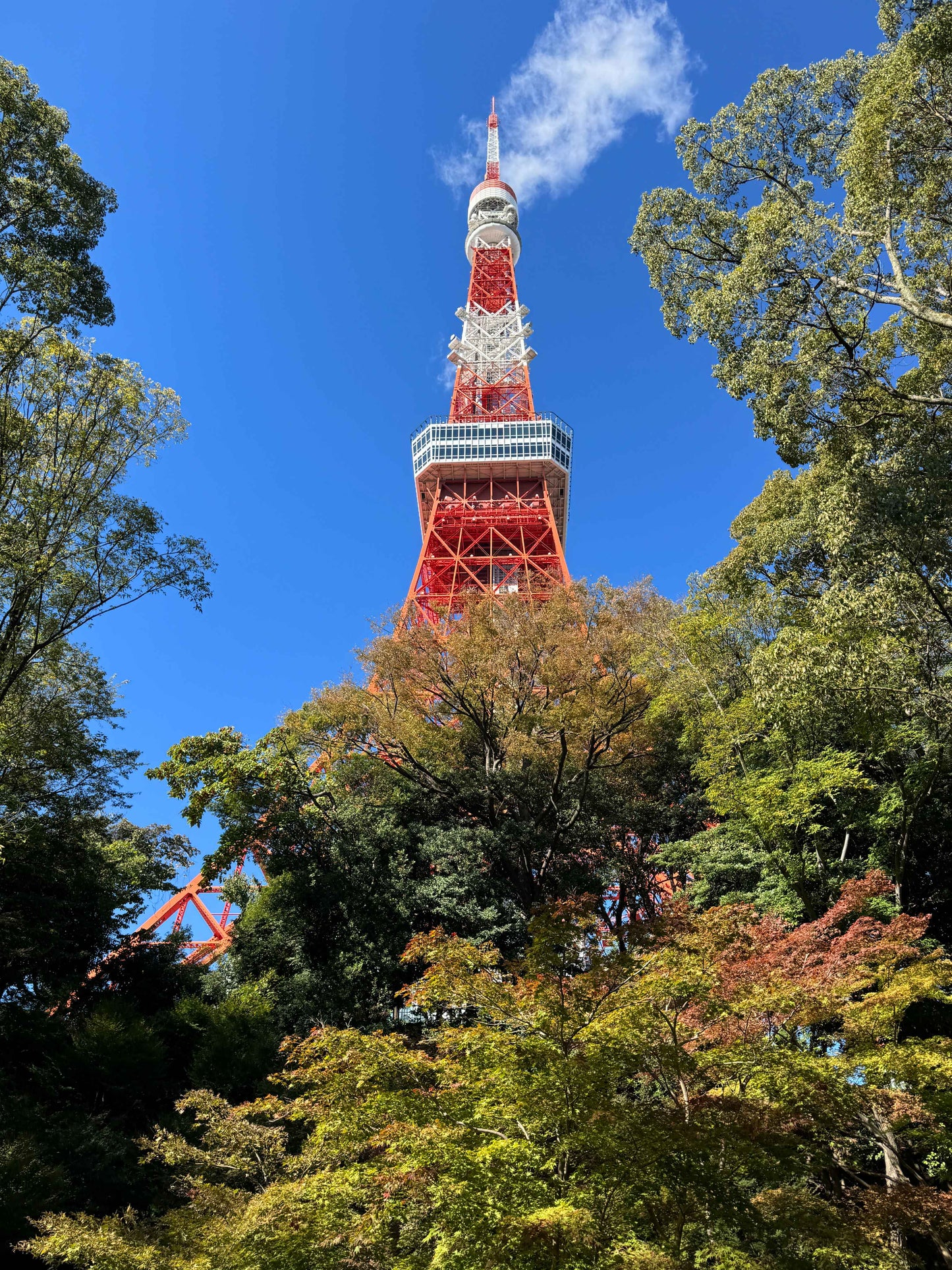 Half Day in Tokyo (4 hours Tour)