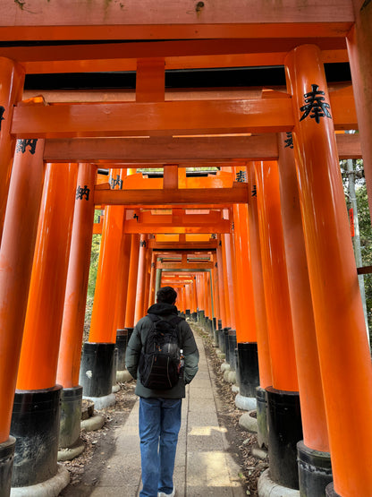 Kyoto Half Day (4 hours Tour)